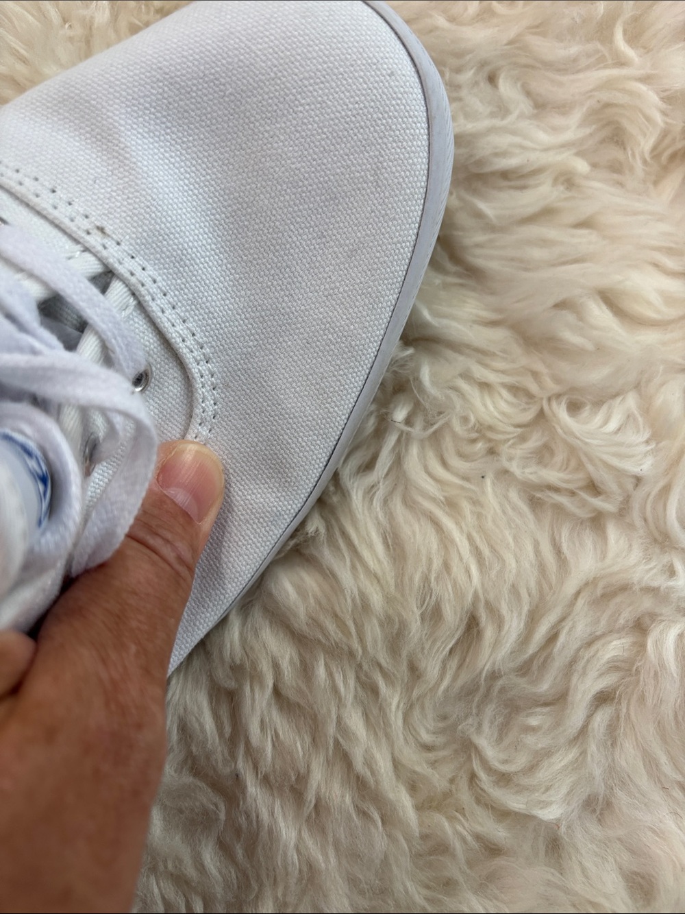 Keds Canvas Lace-Up Sneakers - Picture 12 of 13